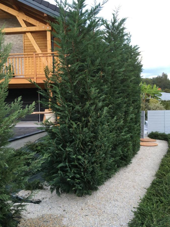 Chalet A La Campagne Coise-Saint-Jean-Pied-Gauthier